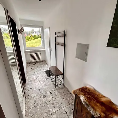 Abendsegler * Санкт-Андреасберг